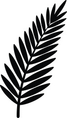 Obraz premium Tropical palm leaf frond Silhouette isolated on transparent background, exotic plant element for design and decoration