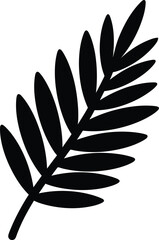 Obraz premium Silhouette of a palm frond or fern leaf with multiple small leaves on transparent background, tropical plant.