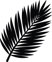 Obraz premium Single palm leaf silhouette vector illustration of exotic tropical foliage branch isolated on transparent background art