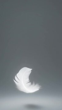 Glowing white feather floating on grey background　グレーの背景に浮かぶ白く光る羽根の抽象背景　縦型　動画