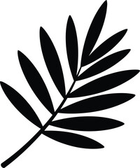 Obraz premium Tropical leaf silhouette black palm branch icon exotic foliage design element for summer botanical nature decorations