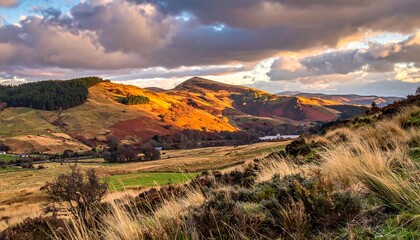 Obraz premium Majestic rolling hills bathed in warm golden sunlight under a dramatic cloudy sky, creating a serene and picturesque natural landscape