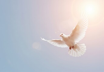 Fototapeta premium Symbol of peace and hope, a white dove soaring in the bright sunlight