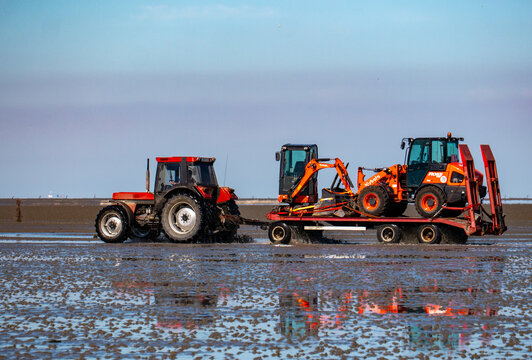 Cuxhaven, Deutschland - 31.07.2020:Traktor mit Anh&auml;nger auf dem Minibagger und Radlader stehen, auf dem Weg durch das Wattenmeer bei Ebbe zur Insel Neuwerk