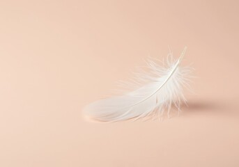 A single delicate white feather symbolizes peace, softness, and ultimate purity, gently resting on a subtle, clean, light pastel background ,pastel ,smooth ,abstract