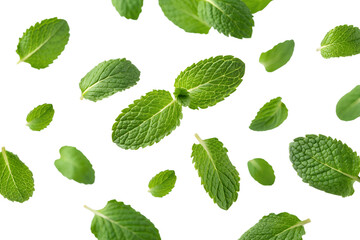 Fresh mint leaves scattered isolated on transparent background