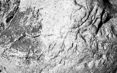 
Mineral's texture from the shore of Vancouver, Canada - 004