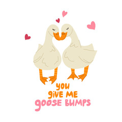 Geese in love. You give me goosebumps lettering. Funny meme quote. Cute farm animal card design. Vector cartoon hand drawn illustration with typography for T-shirt, sticker, print, social media