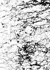 Large vector cracked surface texture with a transparent background