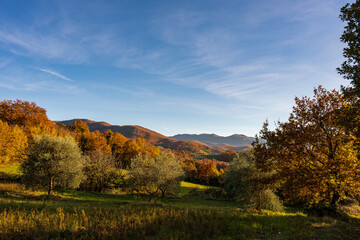 Fototapeta premium Molise is an Italian region with a stretch of coast overlooking the Adriatic Sea. It includes a part of the Abruzzo National Park in the Appennine mountain range, with a rich wildlife and trails.