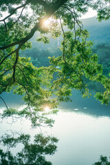 Peaceful lake surface and green tree reflection