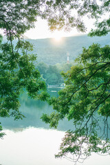 Peaceful lake surface and green tree reflection