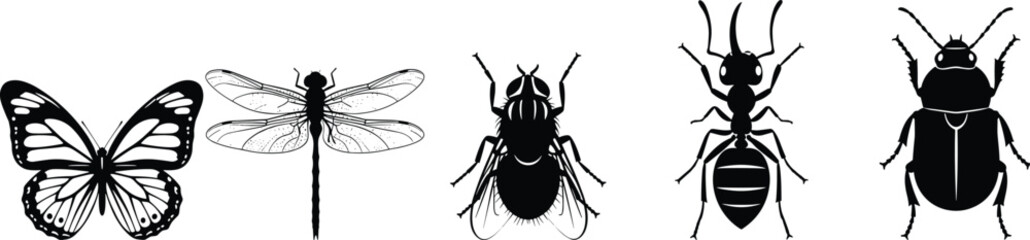 Black and white insect silhouettes set featuring butterfly, dragonfly, fly, ant and beetle, minimal vector illustration collection © Asha Moni