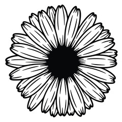 Simple black and white line drawing of a flower with a black center and white petals on a white background