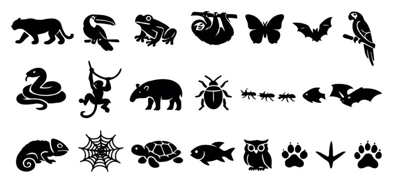 Rainforest Wildlife Fauna in outline style: jaguar silhouette, toucan bird, tree frog, sloth hanging, butterfly, macaw parrot, snake coiled, monkey swinging. Vector icons