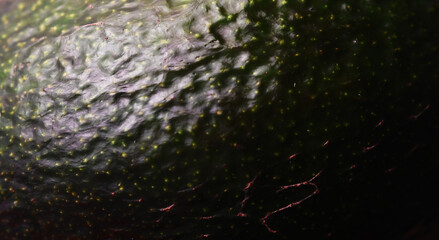 avocado texture. healthy food background