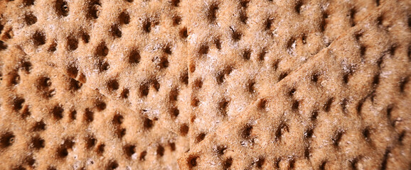 rye crispbread  texture. healthy food background
