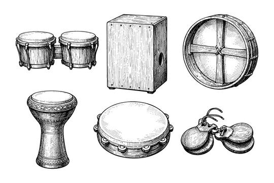 Collection of acoustic percussion instruments in detailed sketch