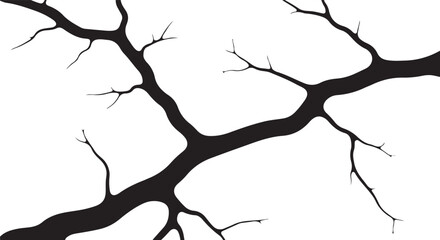 Fototapeta premium Black tree branches on white background minimalist design element