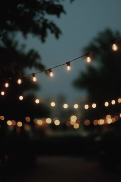 String of warm Edison bulbs glowing softly against a twilight sky