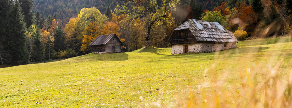 Two rustic wooden barns stand in a grassy field, backed by autumn trees. Bartolo Valley,Tarvisio,Friuli Venezia Giulia,Italy