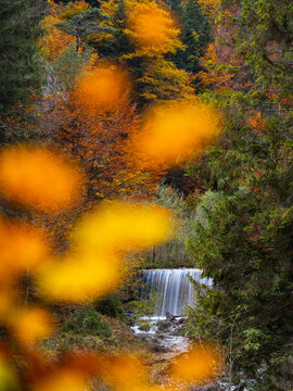 Waterfall framed by autumn foliage, with blurred orange leaves in the foreground. Bartolo Valley,Tarvisio,Friuli Venezia Giulia,Italy