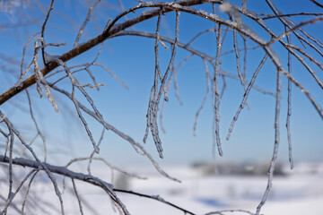 Winter landscape in the Suwałki Region in Poland