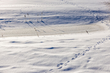 Winter landscape in the Suwałki Region in Poland