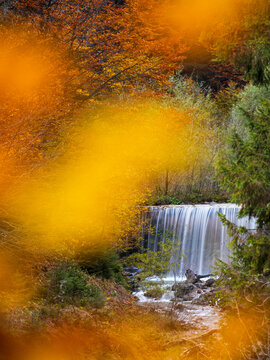 Waterfall cascading over a ledge, framed by autumn foliage. Bartolo Valley,Tarvisio,Friuli Venezia Giulia,Italy