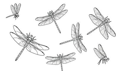 Illustration of detailed dragonflies sketched in various poses. Their wings are intricately patterned, conveying a light, airy, and natural tone. © SHAMIM