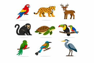 Obraz premium Honduran Rainforest Wildlife Illustration