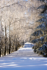 Winter landscape in the Suwałki Region in Poland