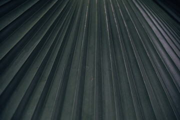 The image is a close up of a black and white striped object