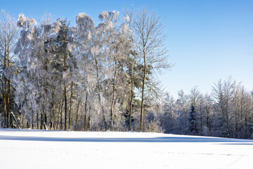 Winter landscape in the Suwałki Region in Poland