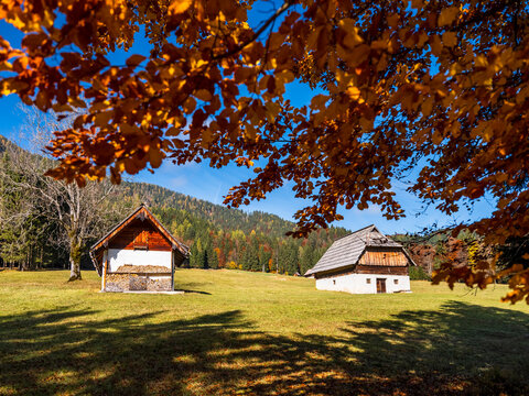 Two wooden barns sit in a grassy field framed by autumn leaves and a forest backdrop under a blue sky. Bartolo Valley,Tarvisio,Friuli Venezia Giulia,Italy