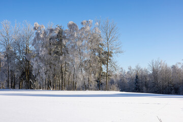 Winter landscape in the Suwałki Region in Poland