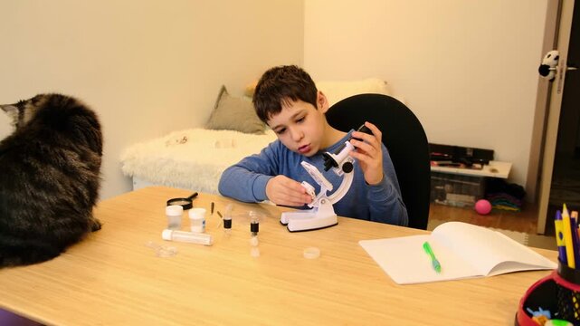 Curious boy adjusts a small microscope at a home desk while a tabby cat sniffs the samples, captured in a warm side view. Hands on science builds critical thinking and screen free learning habits.