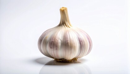 Single garlic bulb intact with papery skin on white background