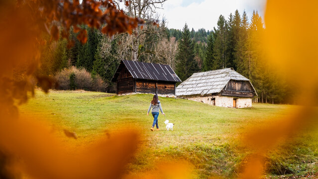 A woman walks her white dog in a field towards two wooden cabins. Bartolo Valley,Tarvisio,Friuli Venezia Giulia,Italy