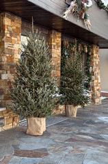 Festive outdoor christmas trees with lights at rustic stone building - concept for decor stores, event planners, holiday venues © Createya
