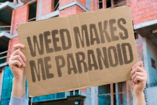"Weed Makes Me Paranoid" Cannabis triggers anxiety symptoms. WEED. PARANOID. CANNABIS. ANXIETY. TRIGGERS.