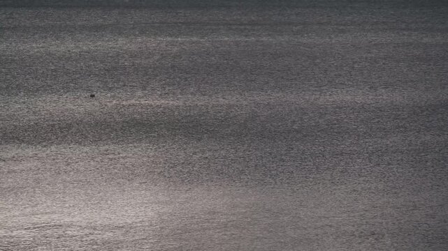 鈍く光る水面と湖畔の雪景色