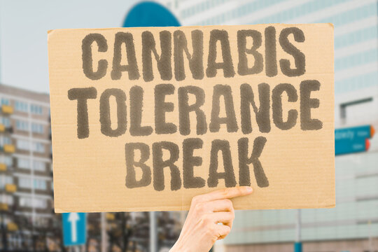 "Cannabis Tolerance Break" Stopping weed restores sensitivity. CANNABIS. TOLERANCE. BREAK. STOPPING. SENSITIVITY.