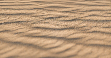 Artistic peaceful golden sand texture tranquil natural wall art background, relax gold pastel sandy abstract dunes wallpaper luxury minimal decor. Beautiful nature sunny closeup view summer beach