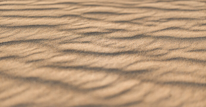 Artistic peaceful golden sand texture tranquil natural wall art background, relax gold pastel sandy abstract dunes wallpaper luxury minimal decor. Beautiful nature sunny closeup view summer beach