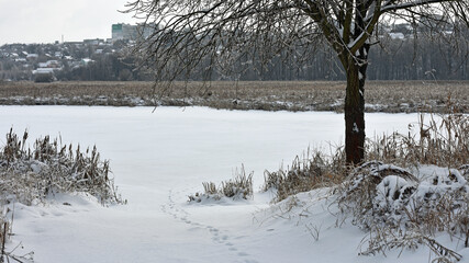 winter forest road. A snow-covered road stretches through a tranquil winter landscape, framed by...