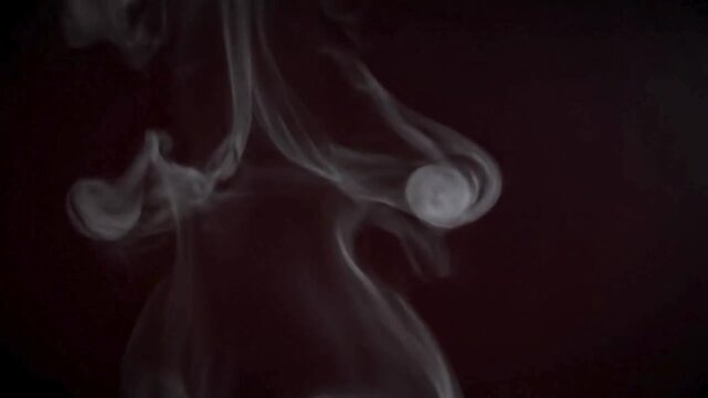 Abstract wisps of smoke dance against a dark backdrop, creating an ethereal and evocative composition.
