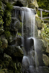 waterfall in the forest