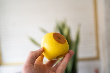 Close-up of a hand holding a yellow apple with a large brown spot, concept of rotten fruit, damaged apple, unhealthy food, organic imperfection, food waste and natural defects.