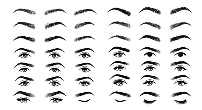Detailed chart showcasing numerous variations of human eyebrows and eyes, demonstrating different shapes, arches, and grooming styles.